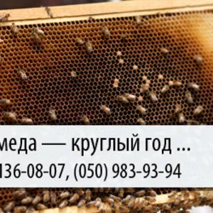 Покупка меда по Украине – (067) 136-08-07 – (050) 983-93-94