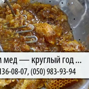 Покупаем мед по Украине – (067) 136-08-07 – (050) 983-93-94