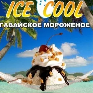 Новый летний бизнес 2012 Гавайское мороженное Ice Cool