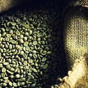 Продажа зеленого кофе по Украине