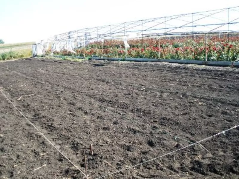 Поливные поля,  23 гектара земли,  теплицы,  ферма Донецк. 6