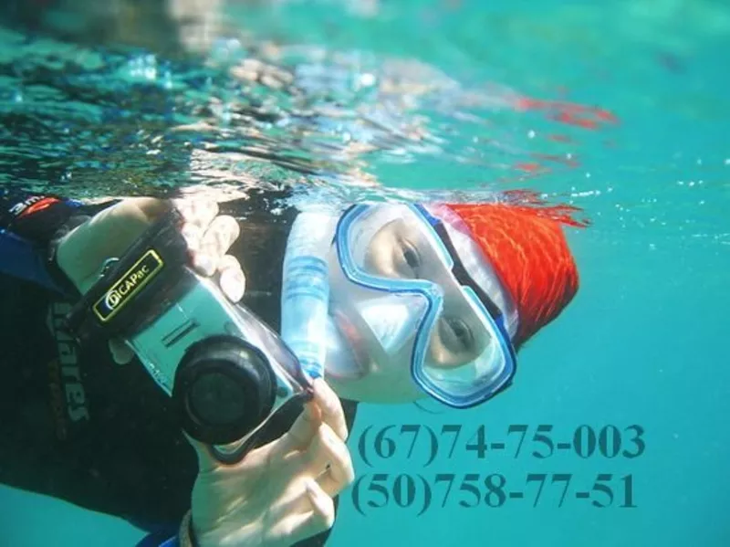 Подводные чехлы DicaPac  для фотоаппарата,  телефона