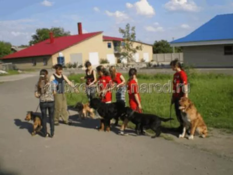  Гостиницы для животных в Донецке и области. 4