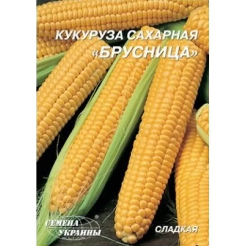 Продам семена Сахарной кукурузы Брусница